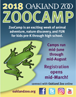 Oakland Zoo Camp