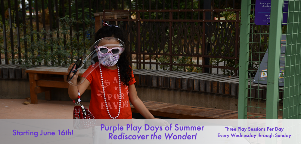 Purple Play Days of Summer