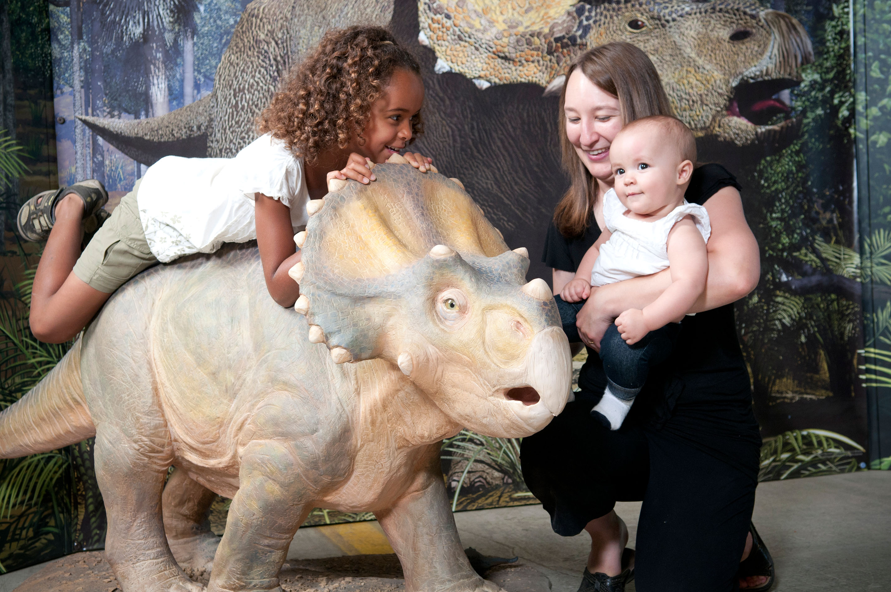 Dinosaurs: Land of Fire and Ice