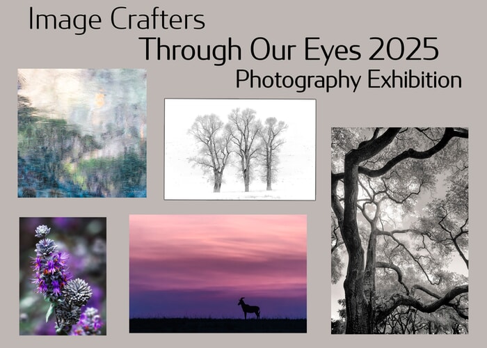Through Our Eyes 2025