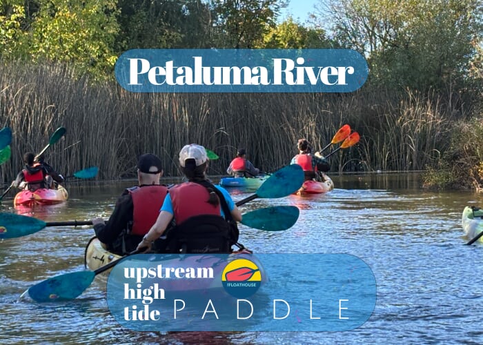 Petaluma River High Tide Upstream Paddle