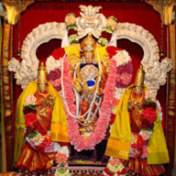 Srinivasa Kalyana Utsavam and Saraswati Puja