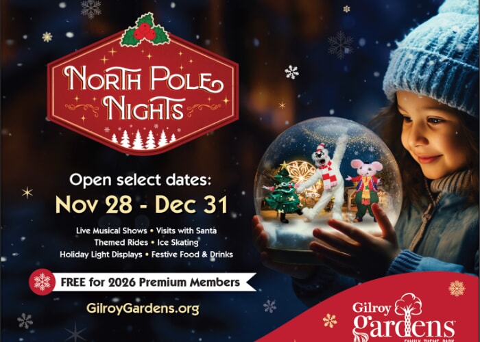 North Pole Nights